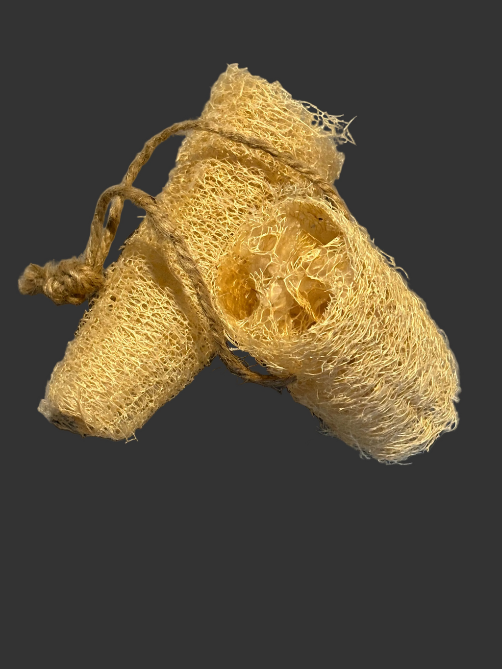Two natural loofah sponges tied together on a gray background