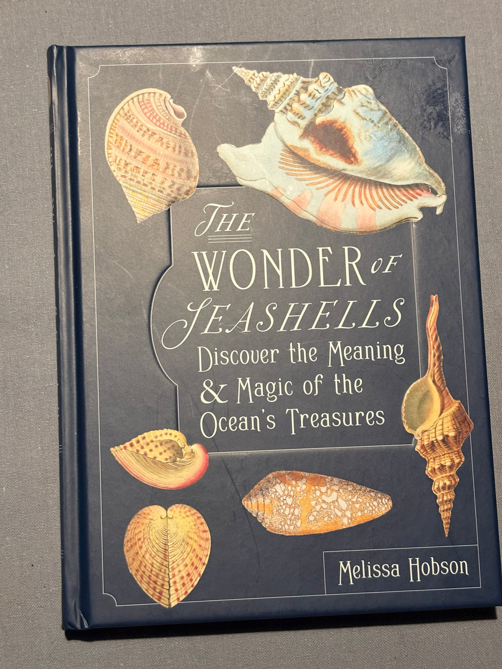The wonder of Seashells book